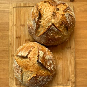 Mature Organic Whole Wheat Sourdough Starter image 6