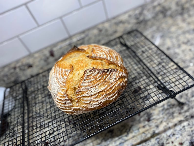 Mature Organic Whole Wheat Sourdough Starter image 4