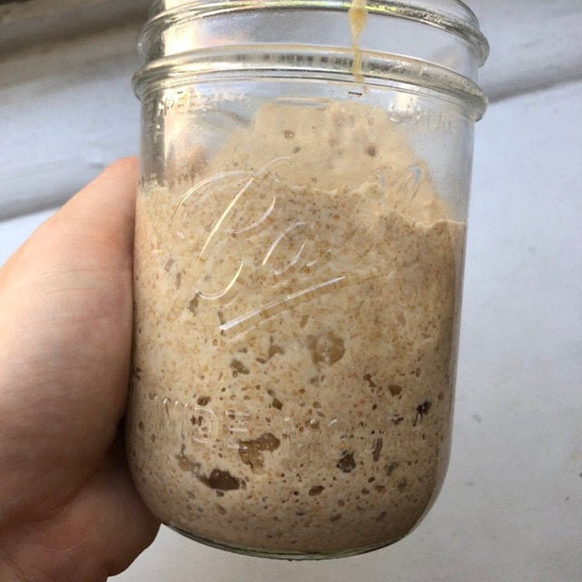 Organic Whole Wheat Sourdough Starter Well Established And Etsy
