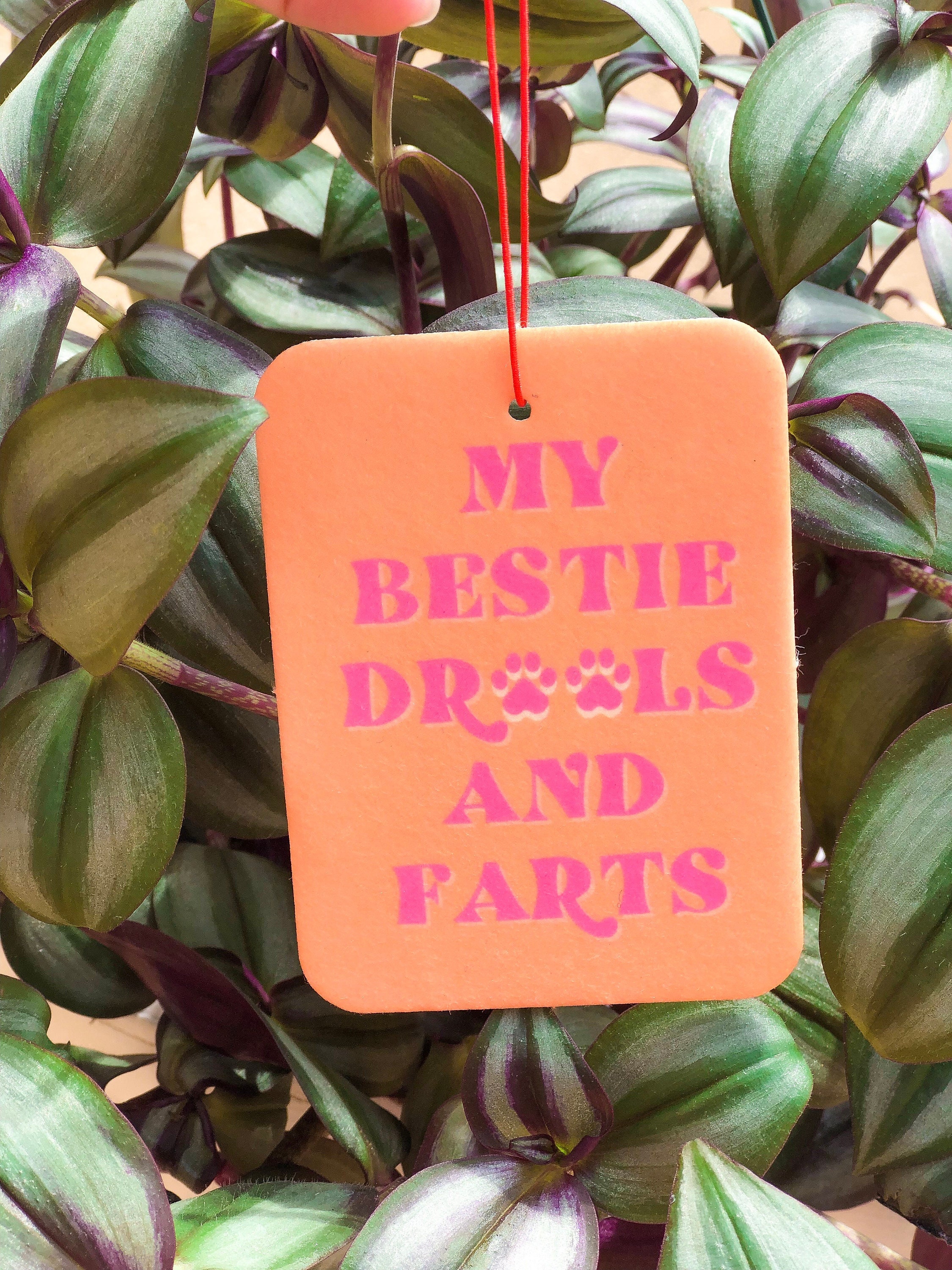 Best Air Freshener for Dog Farts