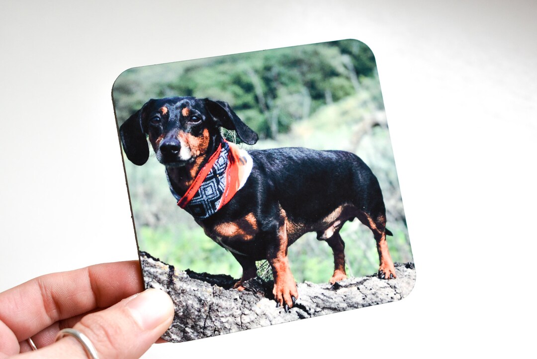 Custom Dog Coasters, Dog Coasters, Personalized Dog Gifts, Personalized