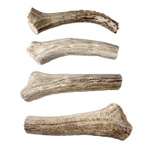 antler bones for dogs