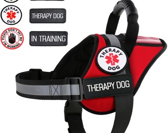 Perro de Terapia / Arnés para Perros de Apoyo / Chaleco Reflectante con Bolsillo más Asa y Parches +10 Tarjetas de Ley ADa Gratis: ALL ACCESS CANINE