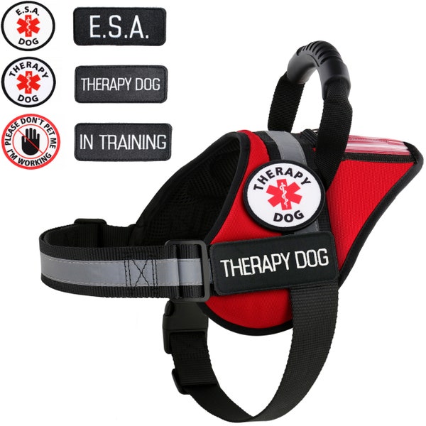 Therapy Dog | Support Dog Harness | Reflective Vest with Pocket plus Handle and Patches +10 Free ADa Law Cards: ALL ACCESS CANINE
