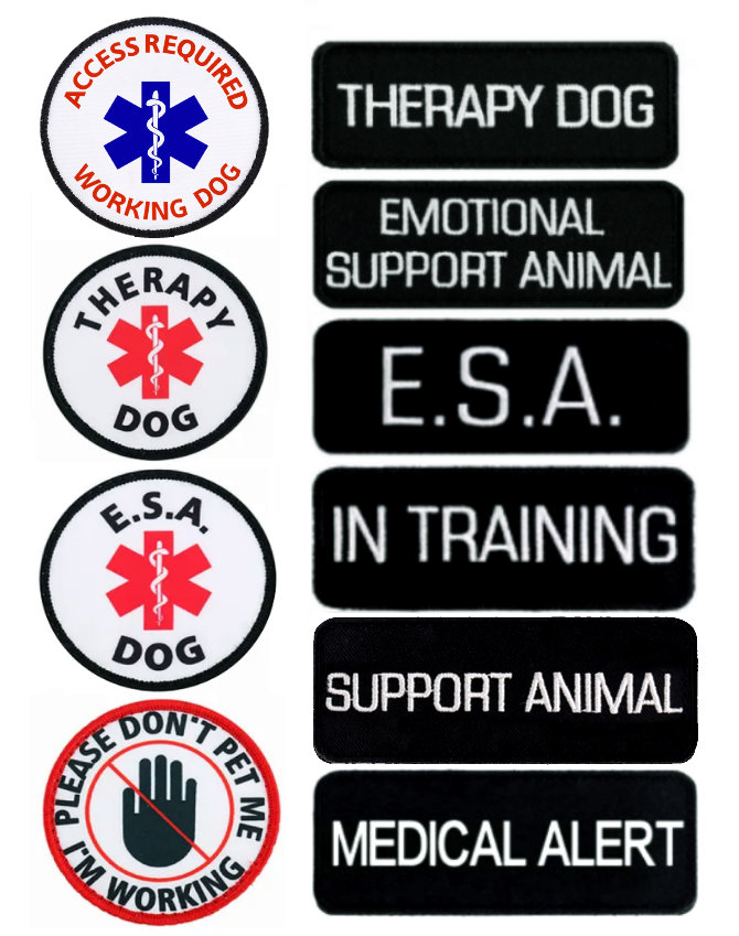 Industrial Puppy Service Dog in Training Patch with Hook Back and Reflective Lettering for Service Dog in Training Vests (Service Dog in Train