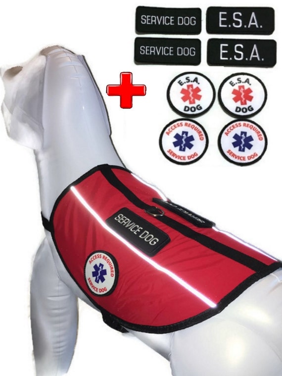 esa dog jacket