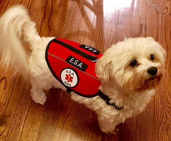 custom service dog vest etsy