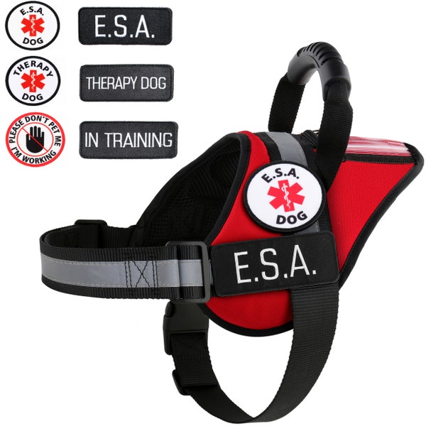 Support Dog | Therapy Dog Harness | Reflective Vest with Pocket plus Handle and Patches +10 Free ADa Law Cards: ALL ACCESS CANINE