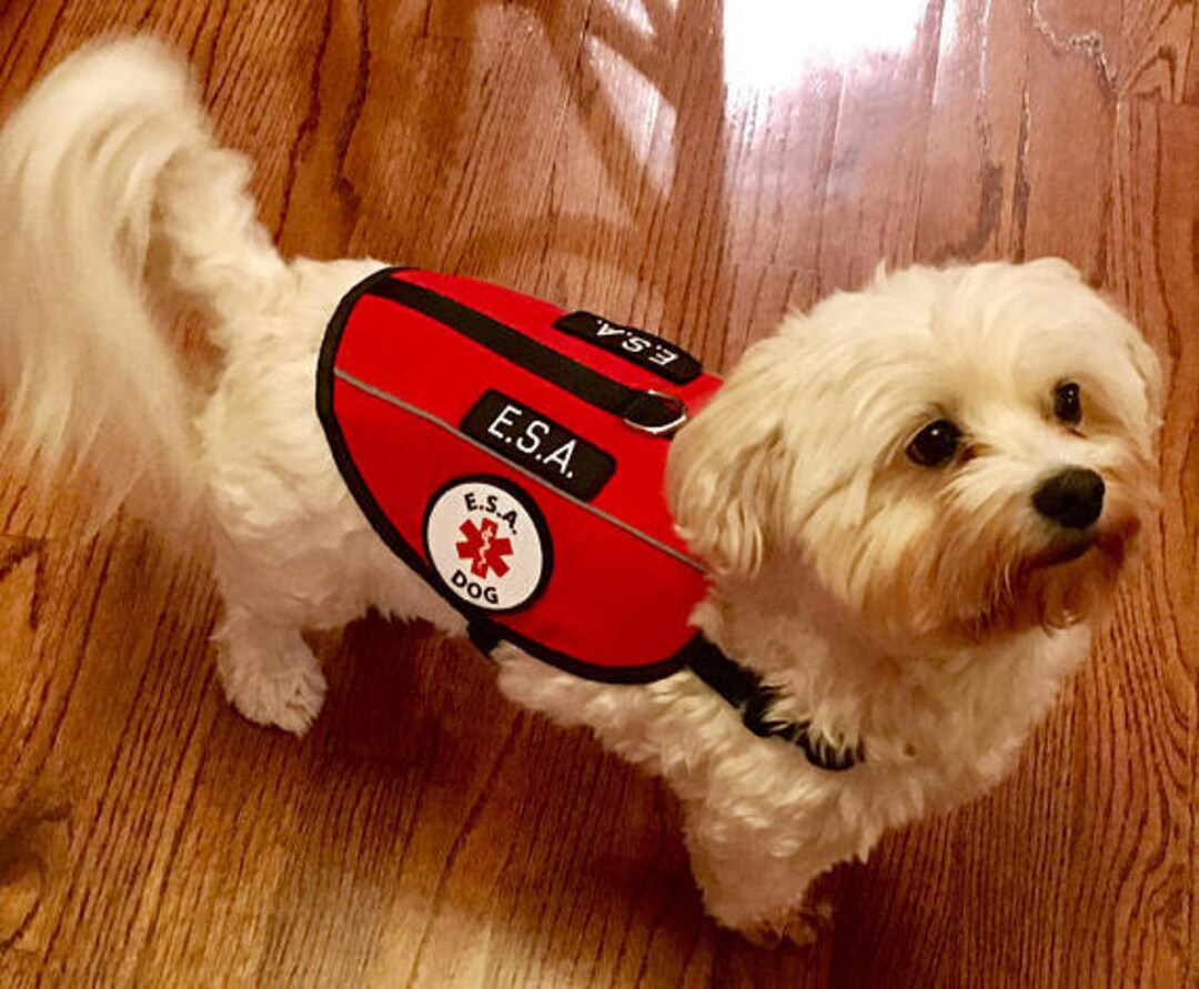 Emotional Support Animal Harness E.S.A. Cape Vest Assistance Animal Reflective Esa Dog Vest 10