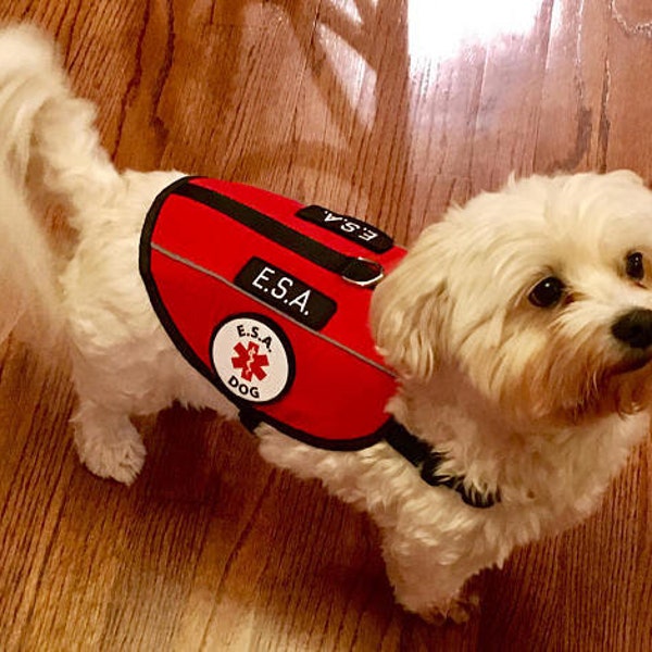 Emotional Support Animal Harness E.S.A. Cape Vest | Assistance Animal  | Reflective ESa Dog Vest + 10 Free A.D.A. Cards: ALL ACCESS CANINE