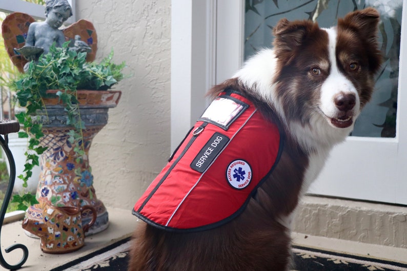 Emotional Support Animal Esa Dog Service Dog Therapy Dog