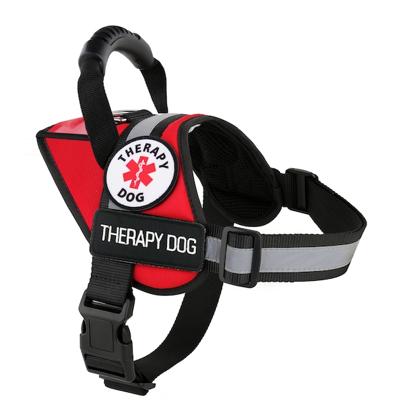 Therapy Dog Harness | Assistance Animal Reflective Vest with I.D. Pocket and Pull-Handle +10 Free ADa Law Cards: ALL ACCESS CANINE