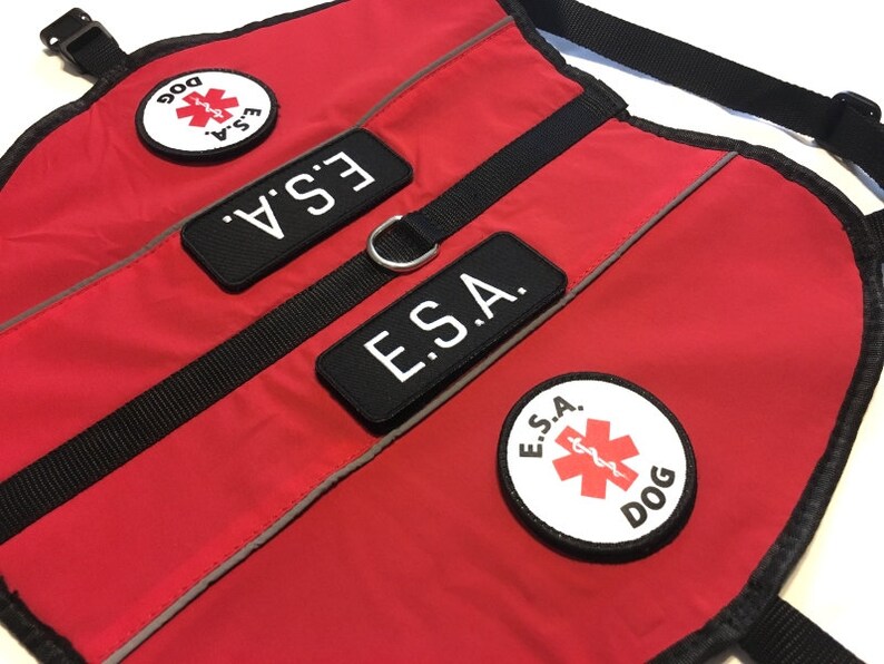 Service Dog Vest Emotional Support Animal Esa Dog Vest Etsy