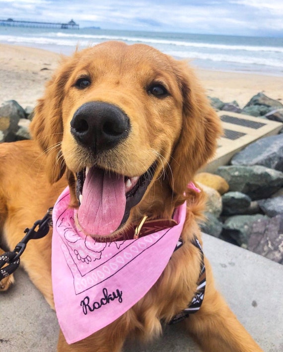 custom dog bandana