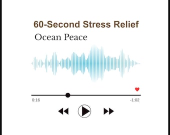 Voce calmante per aiutarti a rilassarti velocemente Audio di 60 secondi l Ocean Peace Stress Relief l Guida per l'utente l Download digitale