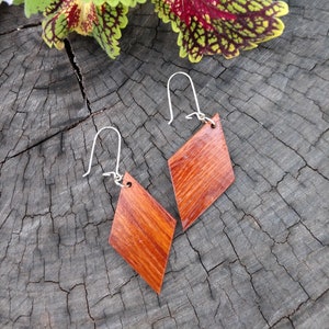 Unique, handcrafted, bubinga wood earrings with sterling silver wires.  Adds beauty and interest to your collection.