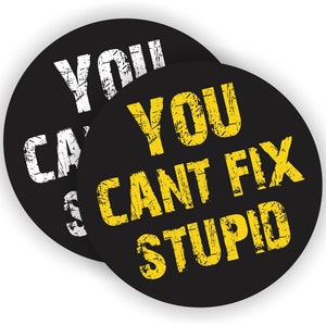 pair - You Cant Fix Stupid Funny Hard Hat Stickers | Tow Motor Motorcycle Welding Welder Safety Helmet Mechanic Decals Toolbox
