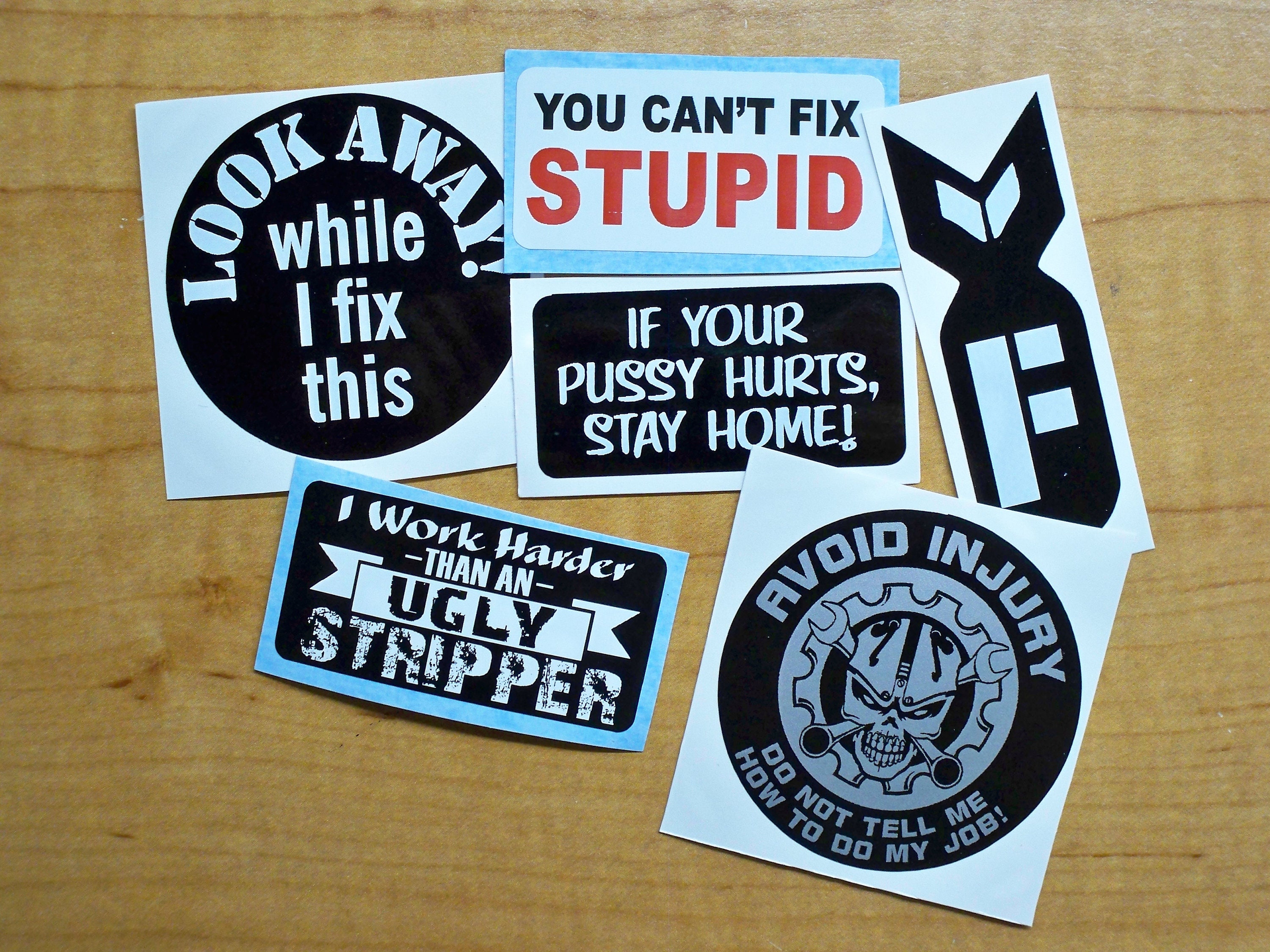 Funny Stickers for Adults 100pc, Perfect for Tool Box, Hood, Hard Hat,  Thermos, Cooler Vinyl, Waterproof for Mechanics, Welders & More -   Norway