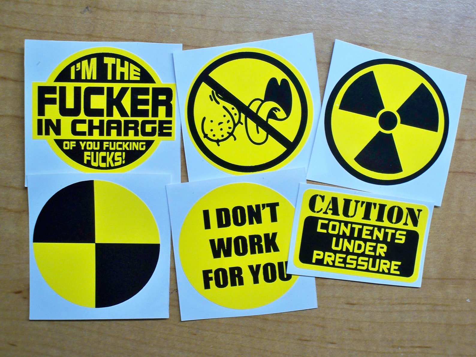 6pack Funny Hard Hat Stickers in Charge of You Bag Lickers Etsy