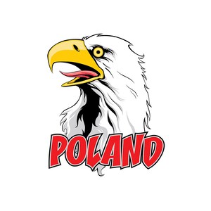 POLAND Eagle For T-Shirt,Toddler's T-Shirt,Sweatshirt Hoodie,Long Sleeve Tee,Women's T-Shirt And Crew Neck Sweatshirt