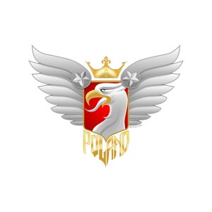 Biker Eagle para camiseta, moletom com capuz, camiseta de manga comprida e moletom com pescoço