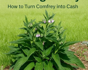 Comfrey Side Hustle Guide | Growing & Selling Bocking #4 (PDF E-Book)