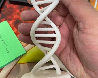 3D Printed DNA Double Helix Model