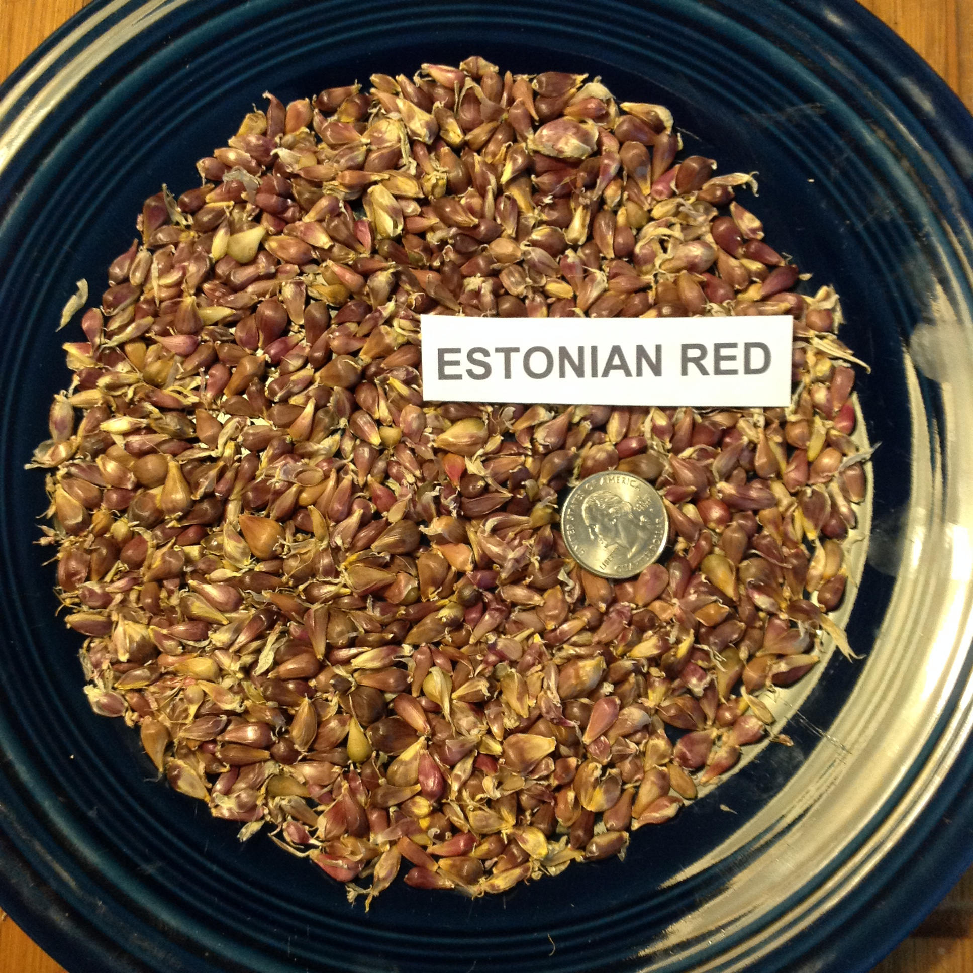 50 ESTONIAN RED Garlic Bulbils seeds Hardneck Marbled Etsy