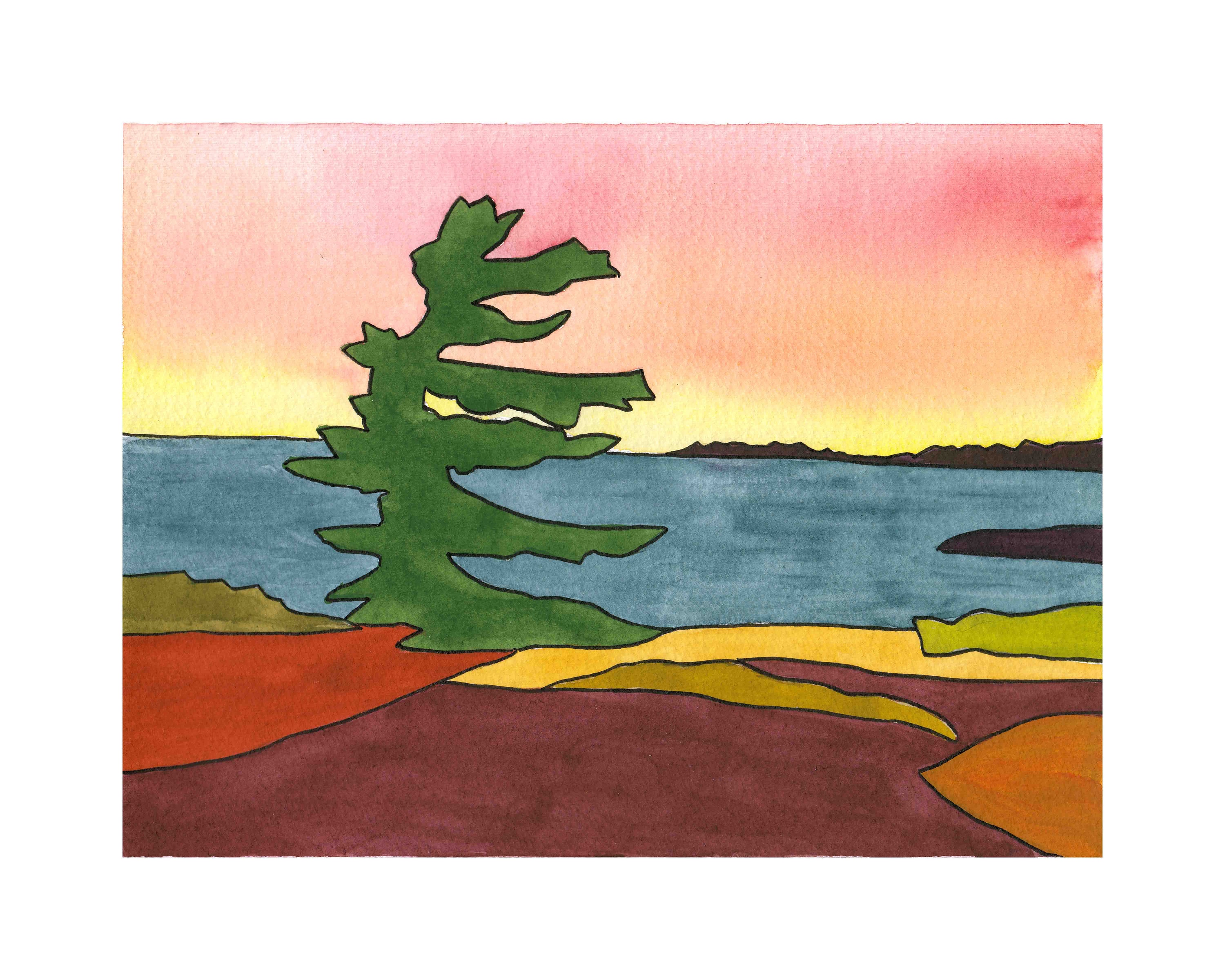 Georgian Bay Sunset - White Pine - Northern Ontario