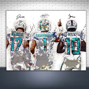 Miami Dolphins man collectibles hotsell