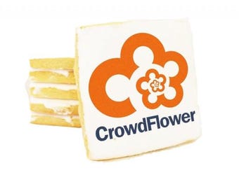 Galletas cuadradas con impresión personalizada: galletas con logotipo personalizado para fiestas, eventos y regalos. Galletas de jengibre heladas hechas a mano.