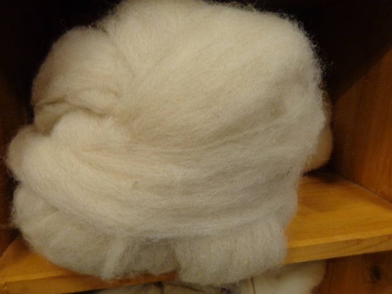 BFL Wool Blended with a off White Alpaca