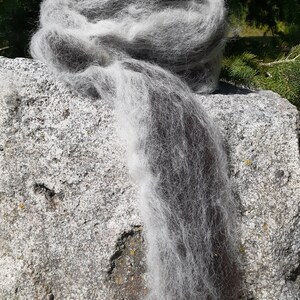 6 oz BFL Wool and White Llama Swirl