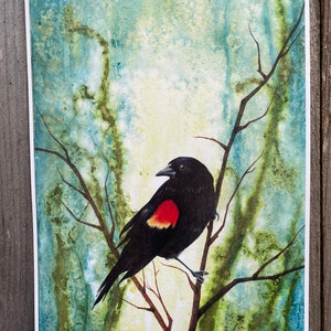 Redwing Blackbird digital print