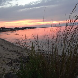 May include: A view of a beach at sunset with tall grass in the foreground and a body of water in the background. The sky is a mix of pink, orange, and purple.