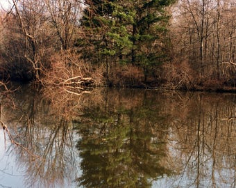 Reflections on Marlu Pond