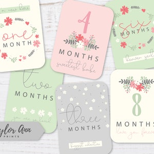 Baby Milestone Cards Rosa e Verde Floreale Documentare i primi 12 mesi del bambino bambino bambina doccia regali foto instagram