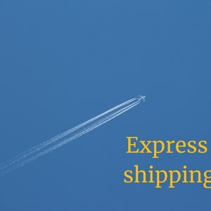 Envío exprés por DHL