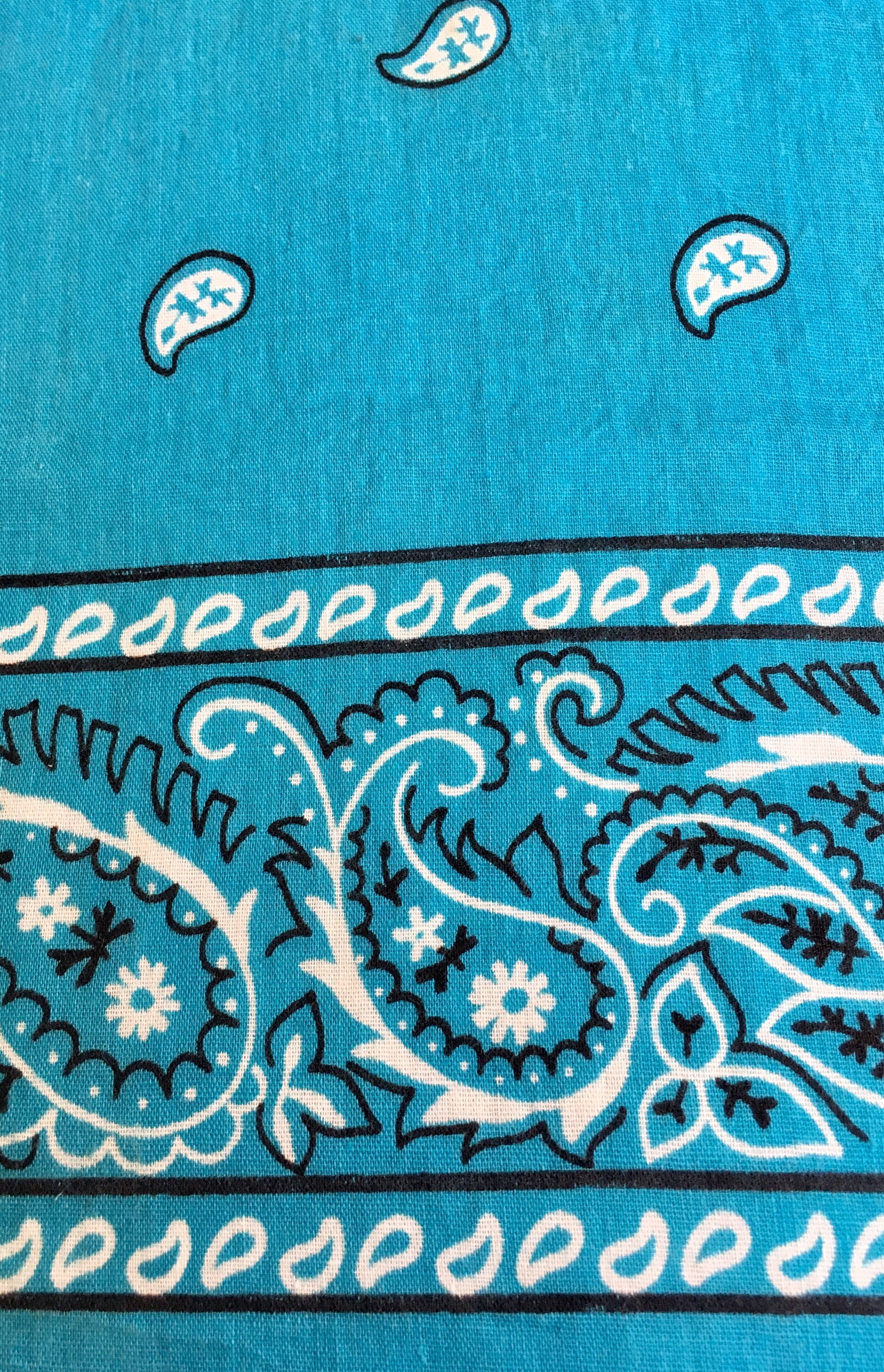 Vintage Turquoise Blue Bandana Fast Color Paisley Bandana RN 13960
