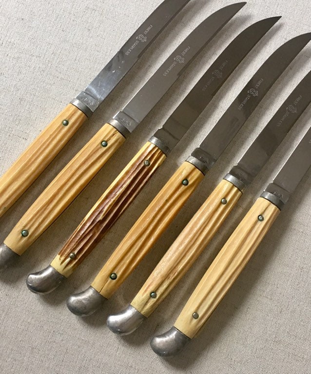 Vintage Stainless Steak Knives/quikut Steak Knife Set/pastel Steak