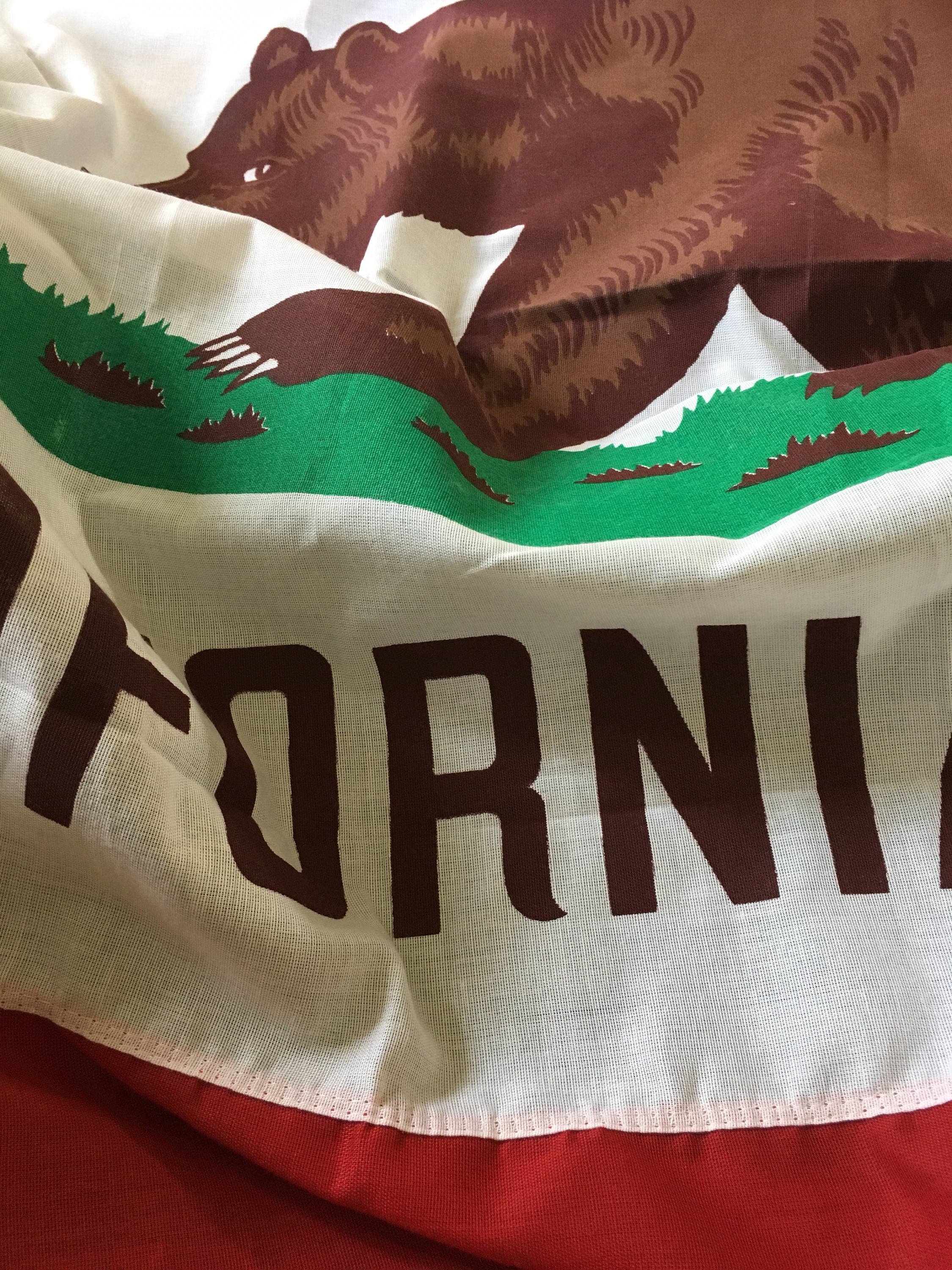 Large Vintage California Flag Hortie Van - Pasadena CA