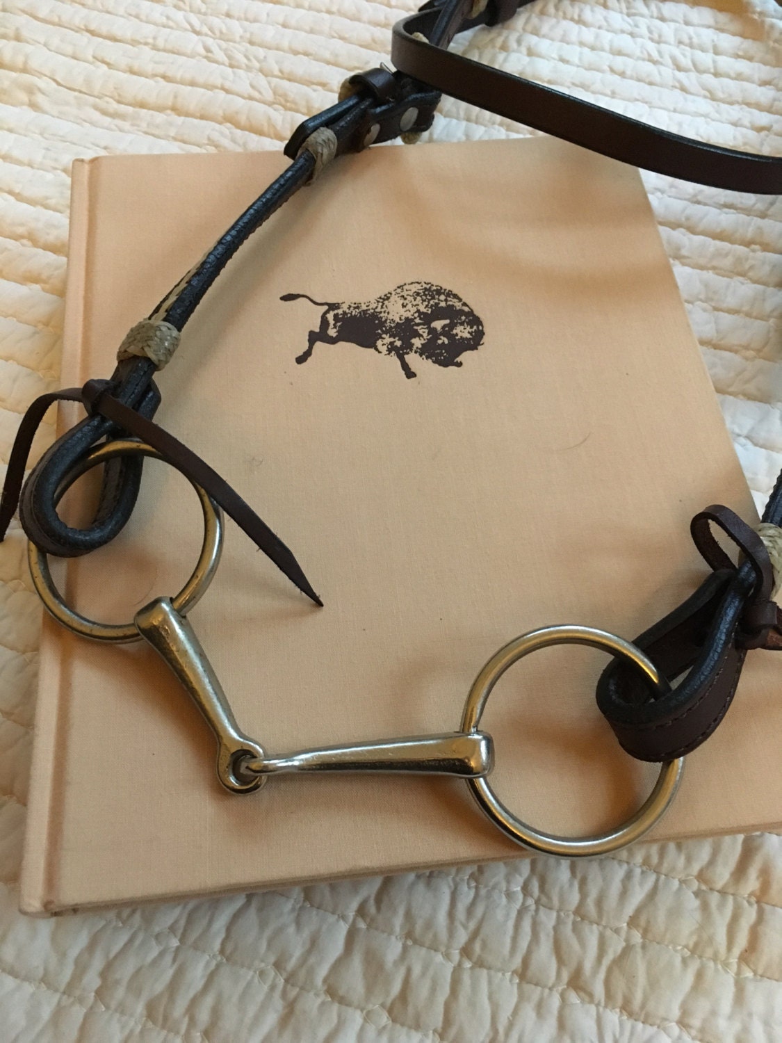 Vintage Horse Bit and Bridle