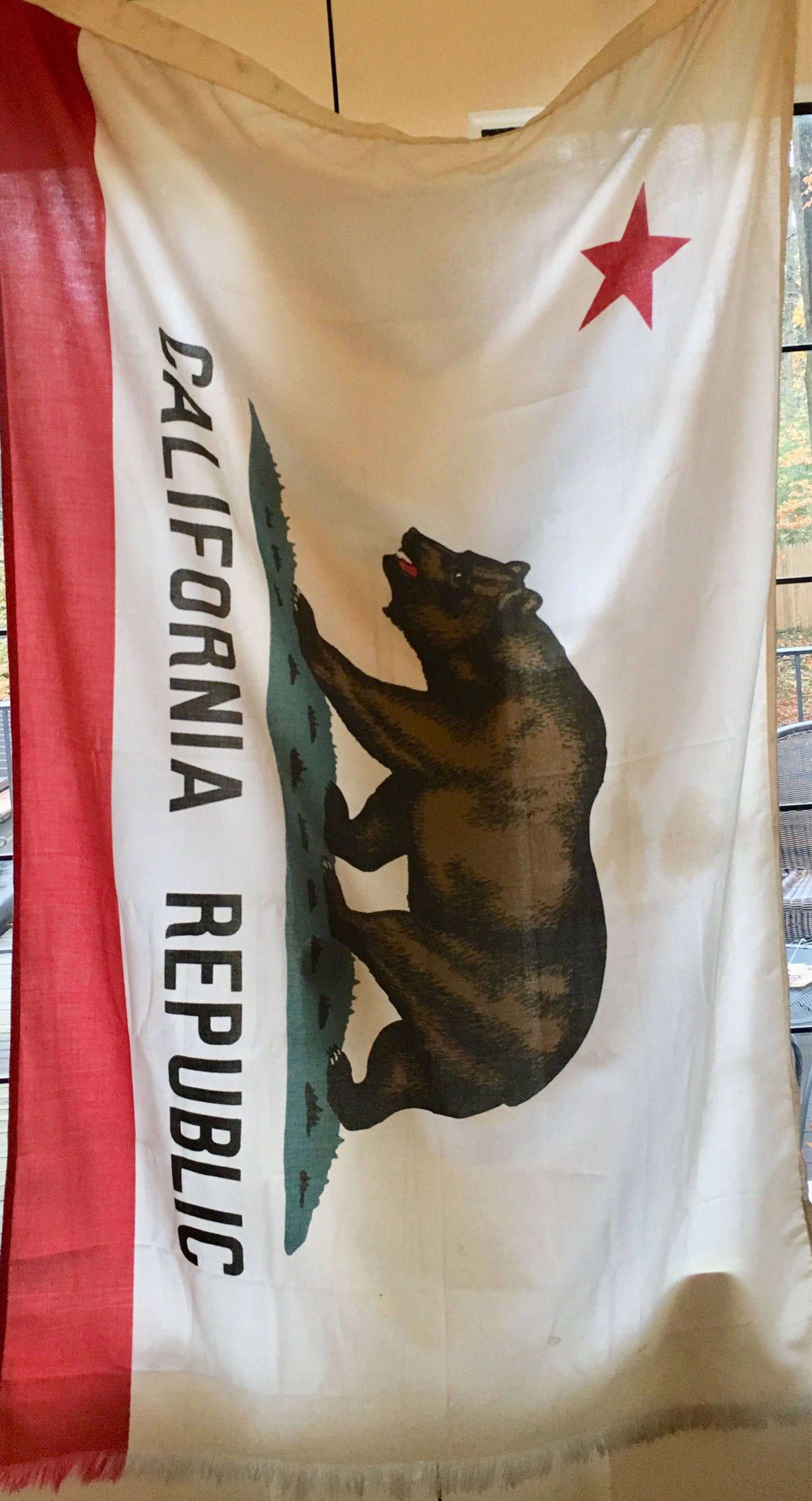 Vintage Califoria Flag USA State Flag Wall Hanging California Republic