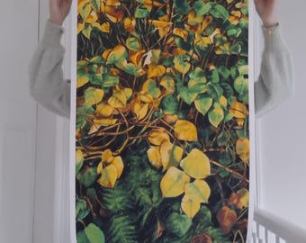 Autumn Leaves Fine Art Print – Ireland Landscape, Limited Edition