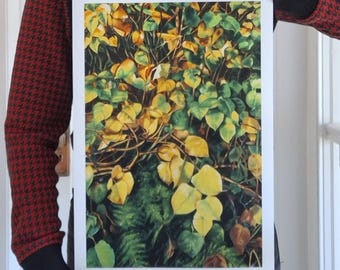 Ireland Landscape Art Print – Autumn Greenery, Cork, 10x15"