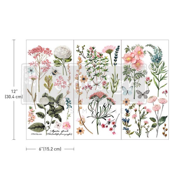 Botanical Paradise Floral Small Transfer by Redesign With Prima, Furniture Crafts Rub On, #653378, Same Day Shipping