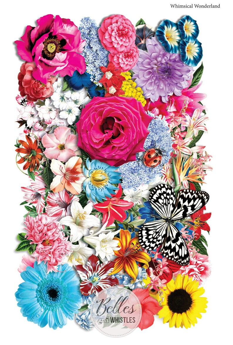 Dixie Belle Transfers for Furniture Crafts December 2021 Etsy UK