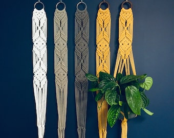 May include: Five macrame plant hangers in different colors, including white, gray, and yellow. The hangers are made of cotton cord and have a diamond pattern. A green plant is hanging from one of the hangers.