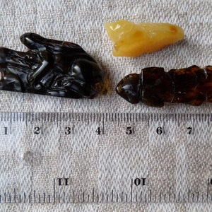 May include: Three amber carvings of insects, one is a dark brown, one is a light brown, and one is a dark brown with a lighter brown insect on top. The carvings are on a white fabric background with a ruler for scale.