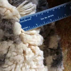May include: Close-up of a white and brown fluffy rug with a ruler measuring 6 inches. The ruler is blue with white markings and the text "Cat. No. 09-016" printed on it.